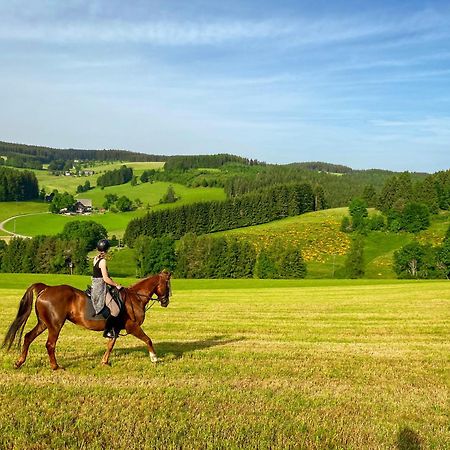 Ferienhof Gerda St. Georgen im Schwarzwald Bagian luar foto