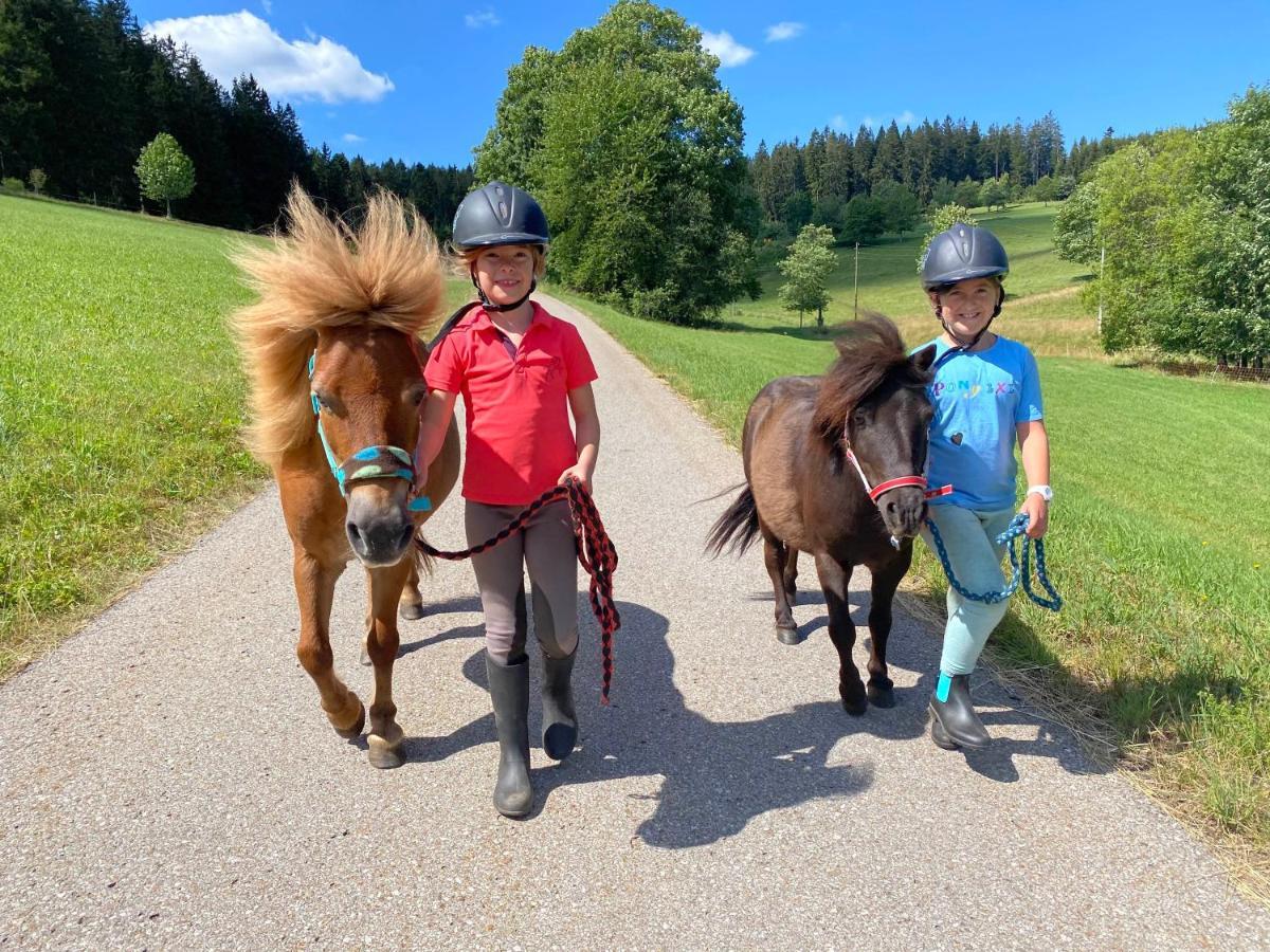 Ferienhof Gerda St. Georgen im Schwarzwald Bagian luar foto